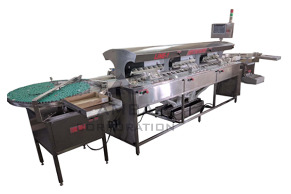 VIAL-INSPECTION-MACHINE-(ROLLER-CONVEYOR